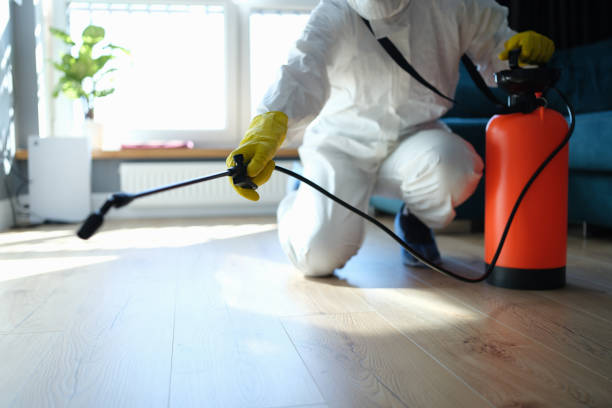 Best Best Pest Control Companies  in Edinburg, TX